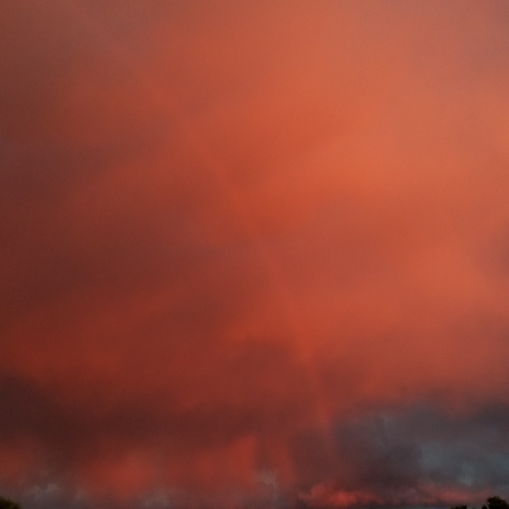 Meet your Posher, Cecil